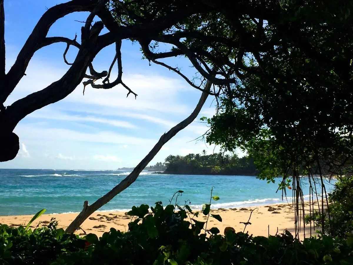 Villa De Palma -Oceanfront Community W Generator Sabana  Holiday home